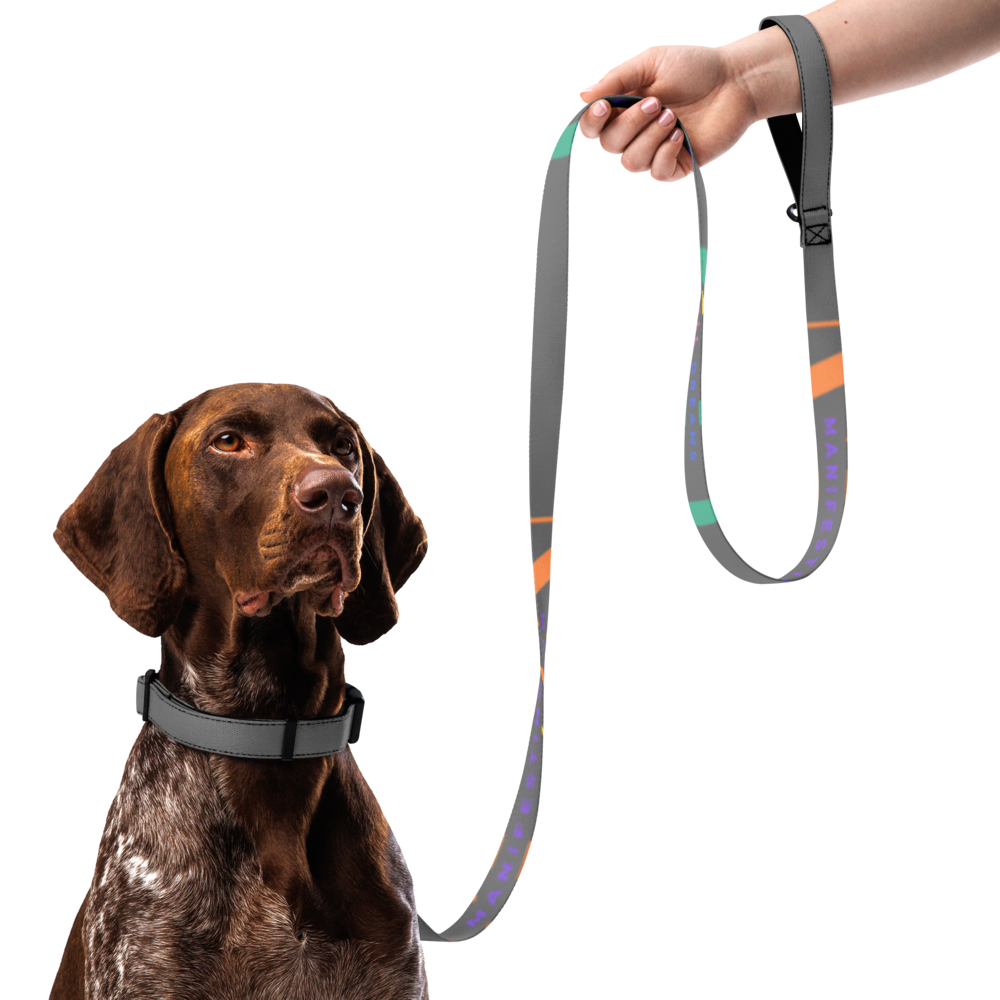 Paw’d Up Collar & Leash Set