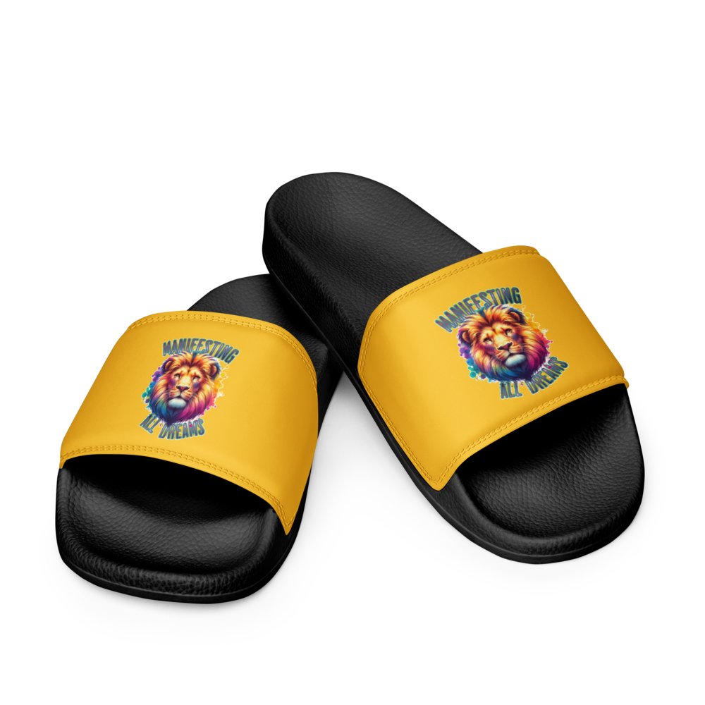 Dream Slides